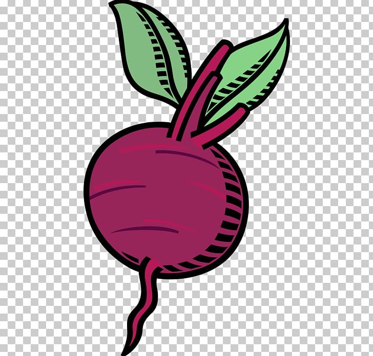 Beetroots Graphics PNG, Clipart, Artwork, Beet, Beetroot, Cake, Cooking Free PNG Download