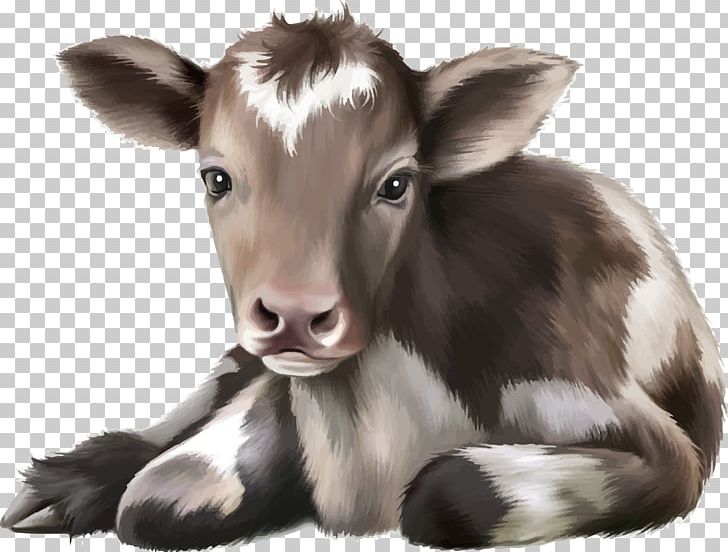 Calf Roping Cattle Stock Photography PNG, Clipart, Animals, Baby Bottles, Calf, Calf Roping, Cattle Free PNG Download