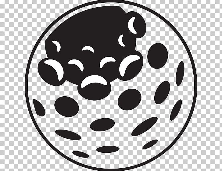 Freeway Golf Course Golf Balls Rowville PNG, Clipart, Ball, Balwyn North, Black And White, Blackboard, Bumper Free PNG Download