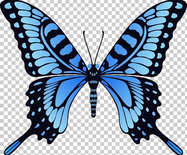 Monarch Butterfly Animation Film PNG, Clipart, Animal Migration, Blue Butterfly, Brush Footed Butterfly, Butterfly, Cura Free PNG Download