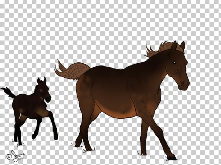 Mule Foal Mustang Mare Colt PNG, Clipart, Animal Figure, Bridle, Colt, Donkey, Foal Free PNG Download