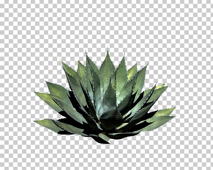 Plant Pixel Shrub PNG, Clipart, Agave, Agave Azul, Art, Deviantart, Drawing Free PNG Download