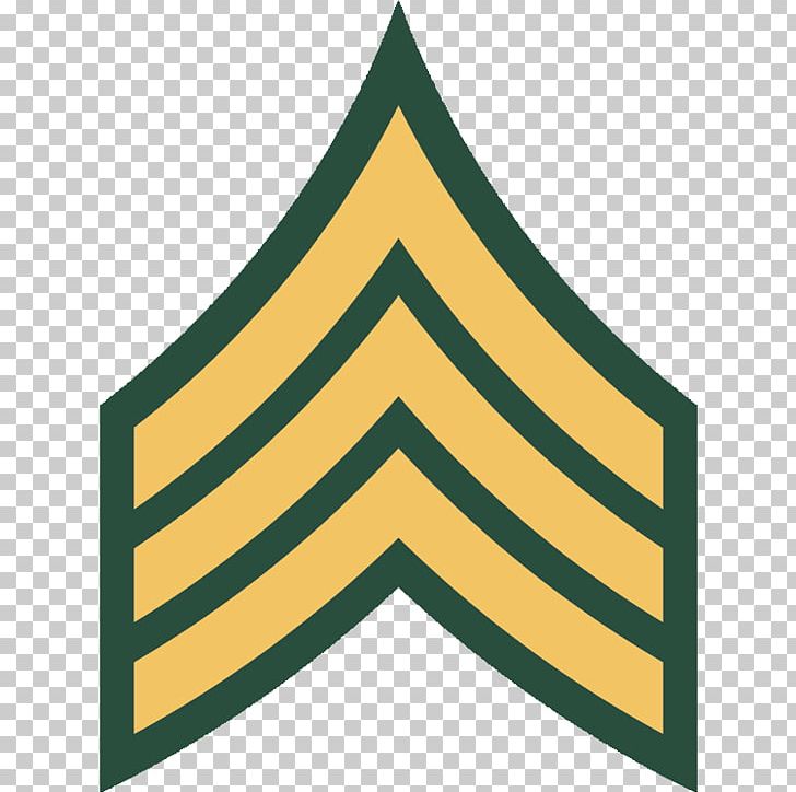Us Army Rank Insignia For Officers And Enlisted In Ve - vrogue.co
