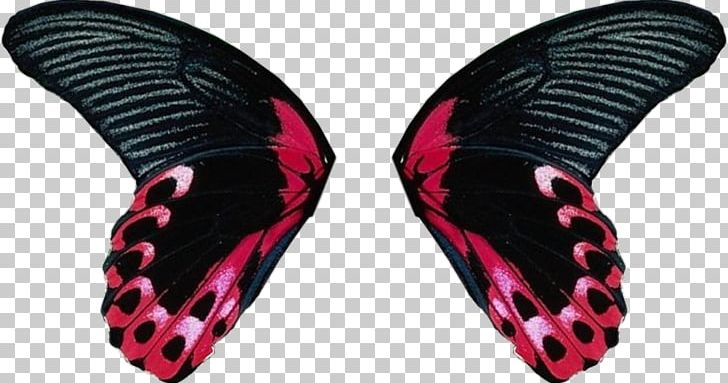 Butterfly Insect Wing PNG, Clipart, Butterflies And Moths, Butterfly, Digital Image, Drawing, Insect Free PNG Download