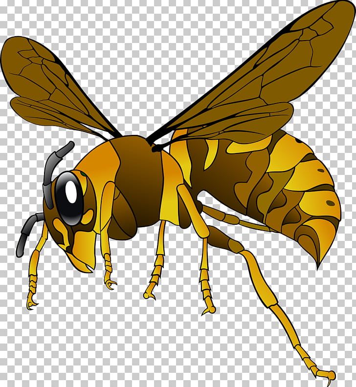 Green Hornet Bee PNG, Clipart, Animal, Arthropod, Baldfaced Hornet, Bees,  Bruce Lee Free PNG Download