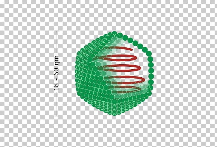 Virus Capsid Viral Envelope Icosahedron Virion PNG, Clipart, Capsid, Capsomere, Cell, Circle, Dna Free PNG Download