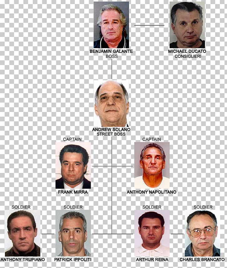 Crime Family Brott Organized Crime Chin PNG, Clipart, Brott, Cheek, Chin, City, Crime Family Free PNG Download