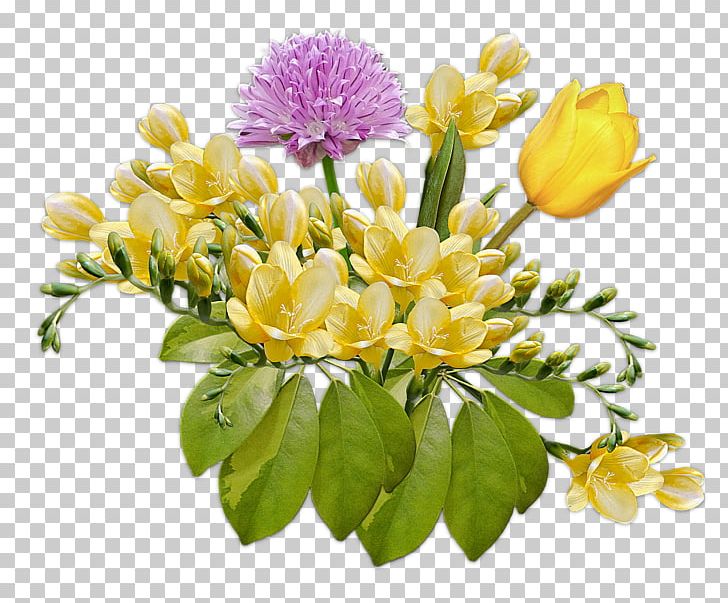 Flower Tulip Butcher Schellenberg & Co. KG PNG, Clipart, Altenburg, Birthday, Branch, Butcher, Butcher Schellenberg Co Kg Free PNG Download