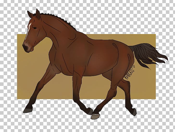 Foal Mane Stallion Mustang Mare PNG, Clipart, Bridle, Colt, Come Back, Foal, Halter Free PNG Download