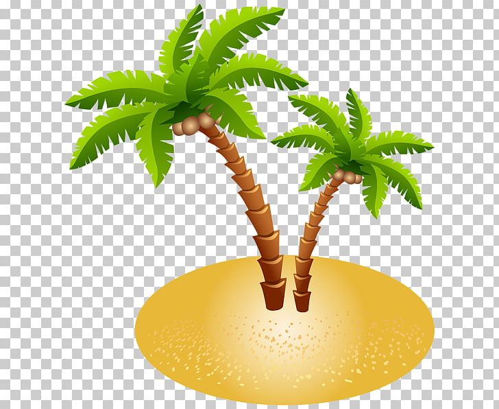 Image File Formats Plant Stem Palm Tree PNG, Clipart, Arecales, Bbcode, Clip Art, Coconut, Computer Icons Free PNG Download