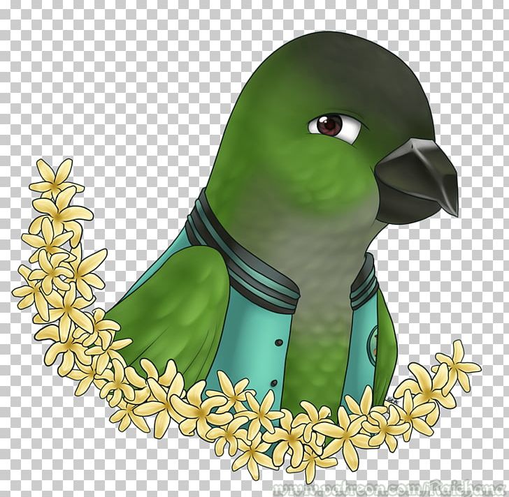 Fan Art Bird Beak Drawing PNG, Clipart, Academy, Animals, Anime, Art, Artist Free PNG Download