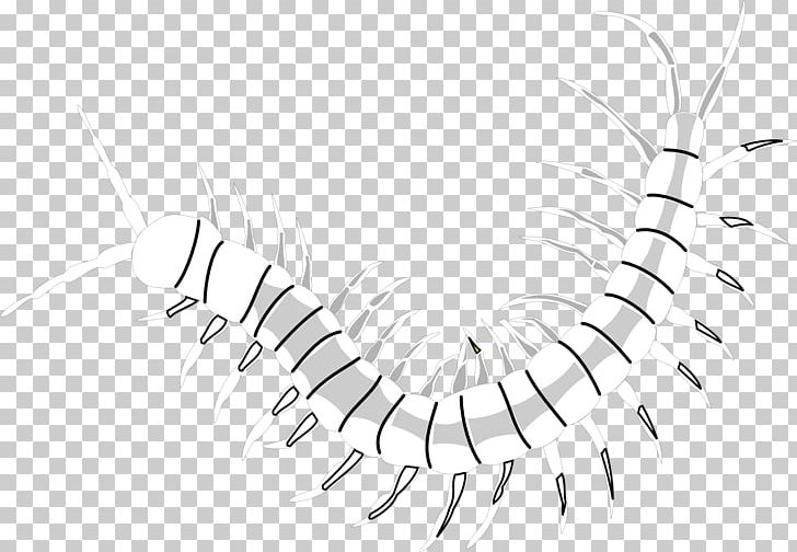 Monochrome Line Art PNG, Clipart, Angle, Artwork, Black, Black And White, Black White Free PNG Download