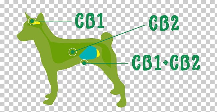 Cat German Shepherd Pet Dog Biscuit Cannabidiol PNG, Clipart, Area, Brand, Breed, Cannabidiol, Cannabis Free PNG Download