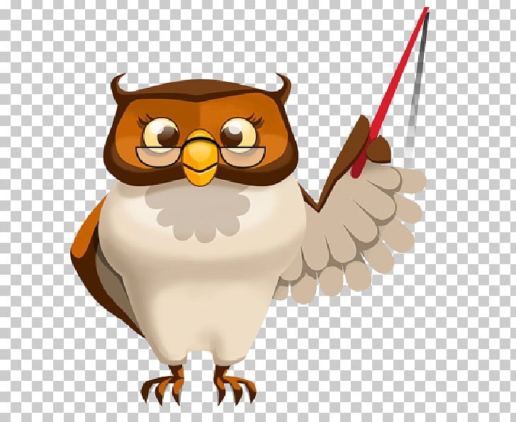Owl Teacher Education School PNG, Clipart, Animals, Beak, Bird, Bird Of Prey, Cartoon Free PNG Download