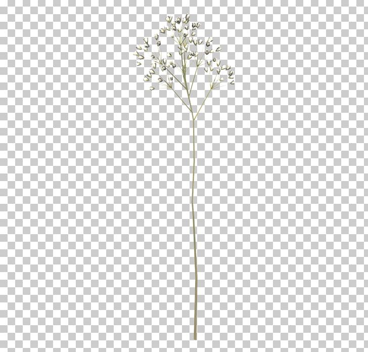 Twig Plant Stem Flowering Plant PNG, Clipart, Branch, Flora, Flower, Flowering Plant, Lonely Free PNG Download