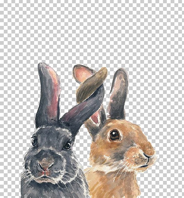 Bunnies PNG, Clipart, Animal, Animals, Art, Cartoon, Crayon Free PNG Download