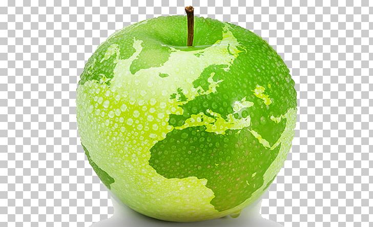 Can Stock Photo Stock Photography PNG, Clipart, 2018, Apple, Can Stock Photo, Citrus, Computer Software Free PNG Download