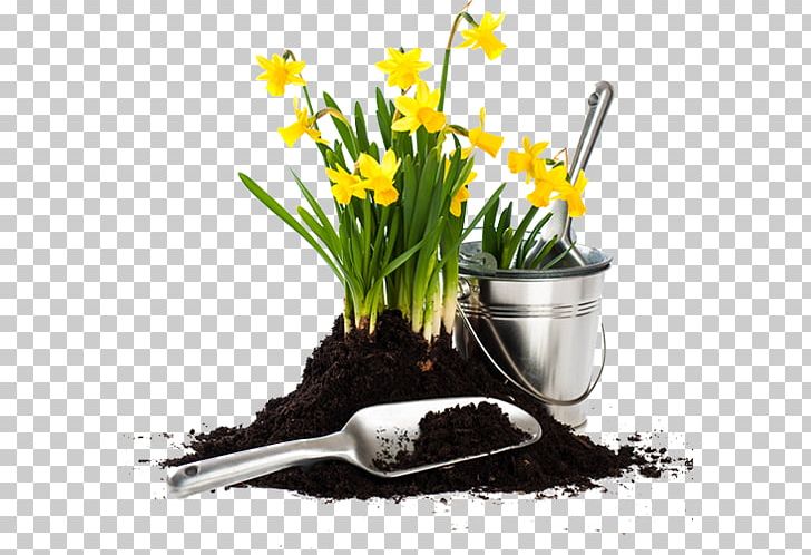 Garden Fork Flowerpot Gardening Potting Soil PNG, Clipart, Daffodil, Flower, Flowerpot, Forest Gardening, Garden Free PNG Download