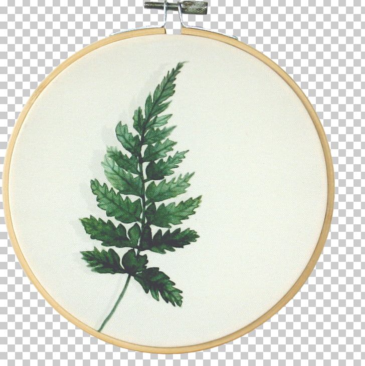Banana Leaf Christmas Ornament Spruce Painting .nl PNG, Clipart, Banana, Banana Leaf, Centimeter, Christmas, Christmas Decoration Free PNG Download