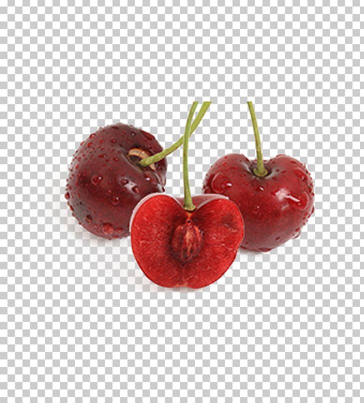 Cherry Blossom Fruit PNG, Clipart, Cherries, Cherry, Cherry Blossoms, Cherry Blossom Tree, Cherry Flower Free PNG Download
