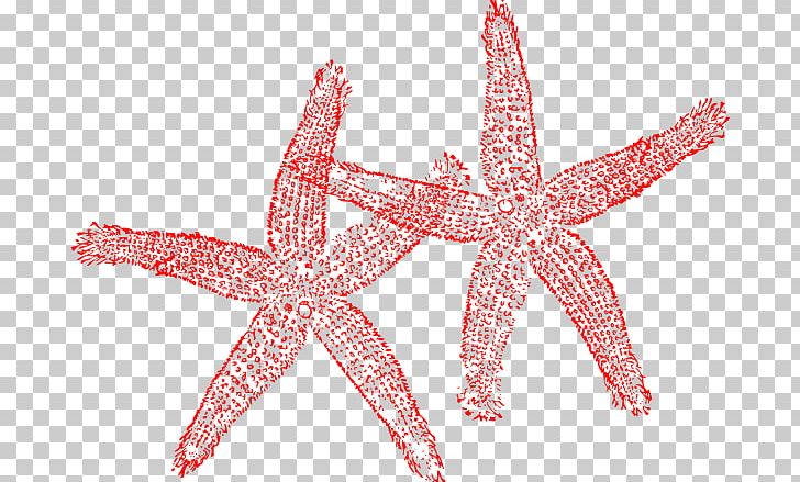Starfish Computer Icons PNG, Clipart, Computer Icons, Desktop Wallpaper, Download, Drawing, Echinoderm Free PNG Download
