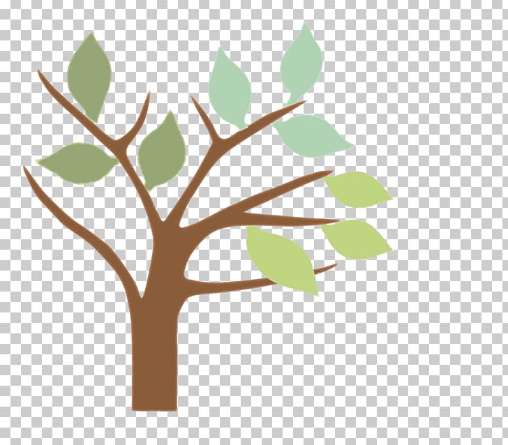 Tree Branch Twig Plant Leaf PNG, Clipart, Applied Economics, Branch, Computer, Computer Wallpaper, Desktop Wallpaper Free PNG Download