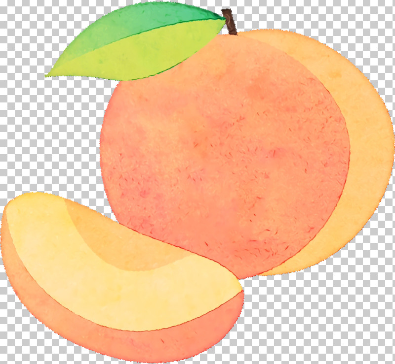 Grapefruit Apple Apple PNG, Clipart, Apple, Grapefruit, Paint, Watercolor, Wet Ink Free PNG Download