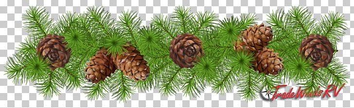 Christmas Decoration Garland PNG, Clipart, Biome, Branch, Christmas, Christmas And Holiday Season, Christmas Decoration Free PNG Download