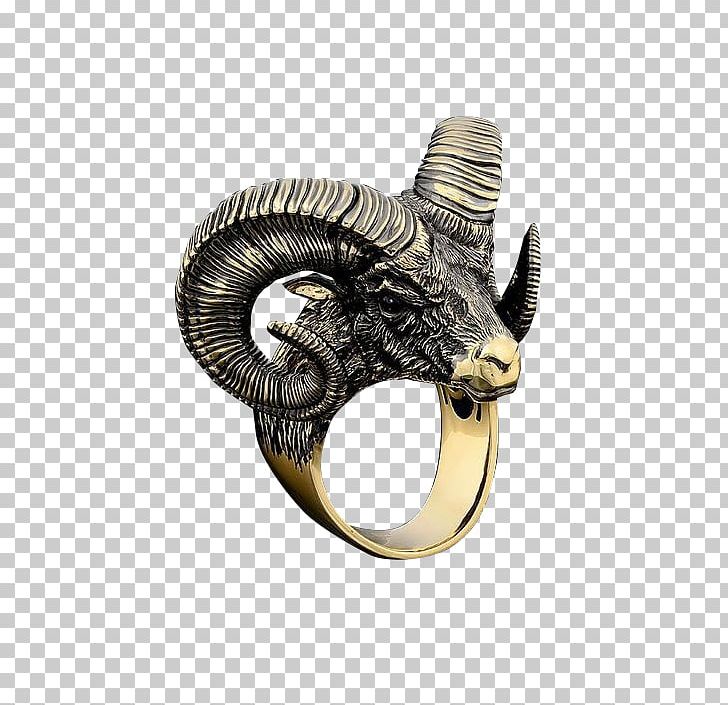 Claw Sculpture Horn PNG, Clipart, Bear, Bear Claw, Big Stone, Bread, Cat Free PNG Download