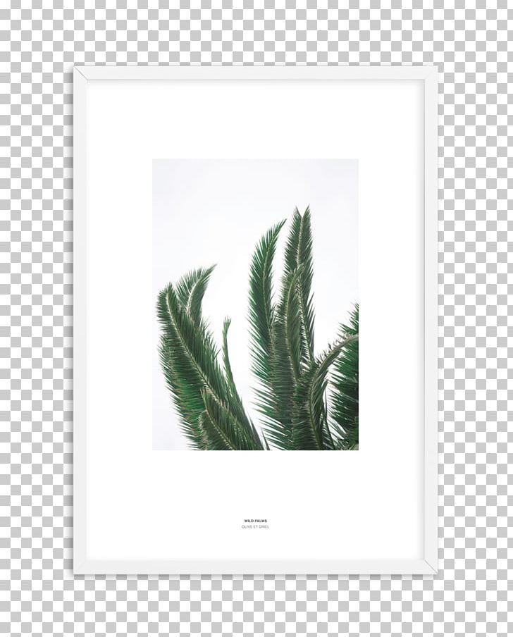 Fine-art Photography Fine-art Photography Adolescence PNG, Clipart, Adolescence, Art, Bedroom, Feather, Femininity Free PNG Download