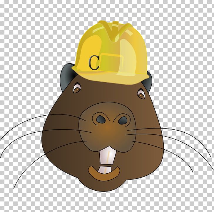 Beaver Rodent Animal Illustration PNG, Clipart, Animal, Animation, Bear, Beaver, Carnivoran Free PNG Download