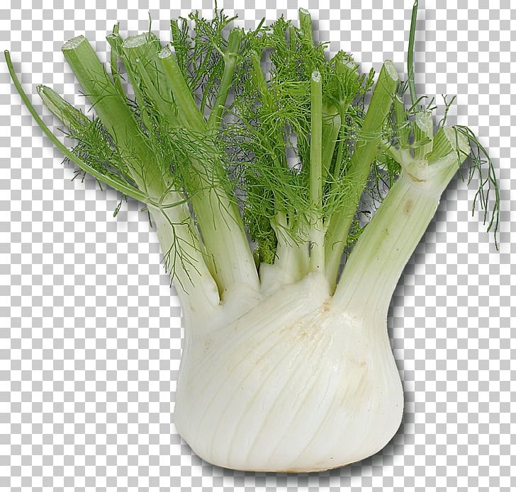 Fennel Mediterranean Cuisine Vegetable Herb Bulb PNG, Clipart, Anise, Apiaceae, Bulb, Cooking, Eating Free PNG Download
