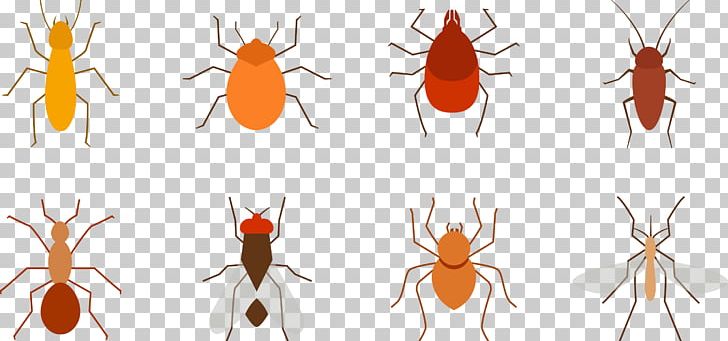 Mosquito Killing Insect Pest PNG, Clipart, Animal, Animals, Arthropod, Download, Fly Free PNG Download