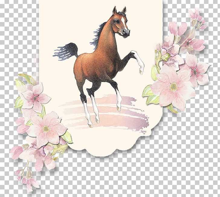 Mustang American Miniature Horse Stallion Mare Foal PNG, Clipart, American Miniature Horse, Breed, Colt, Evans, Flower Free PNG Download