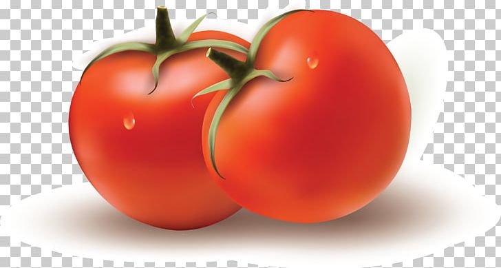 Plum Tomato Bush Tomato Vegetable PNG, Clipart, Apple, Bush Tomato, Chart, Diet Food, Download Free PNG Download