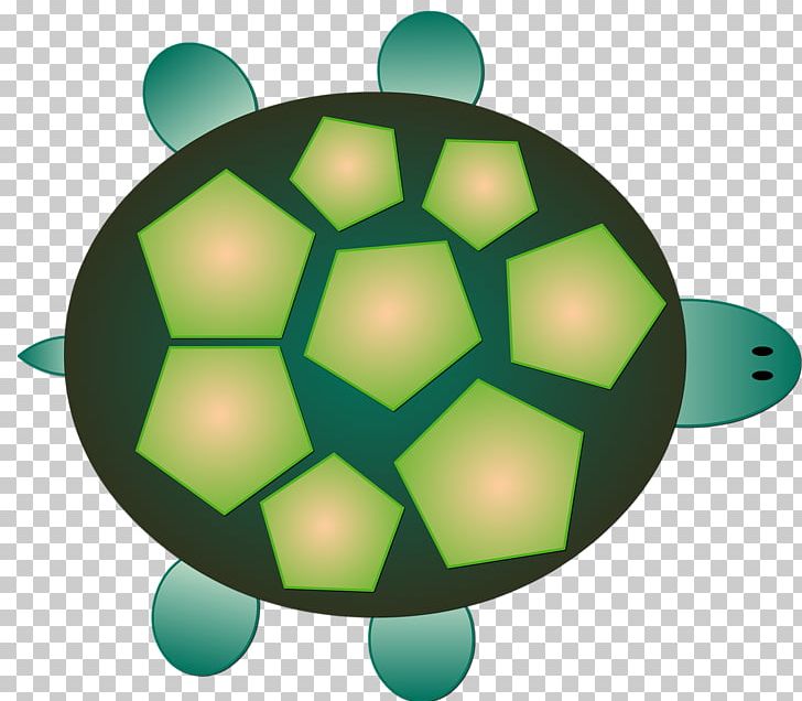 Tortoise Sea Turtle Reptile PNG, Clipart, Animals, Ball, Drawing, Football, Grass Free PNG Download
