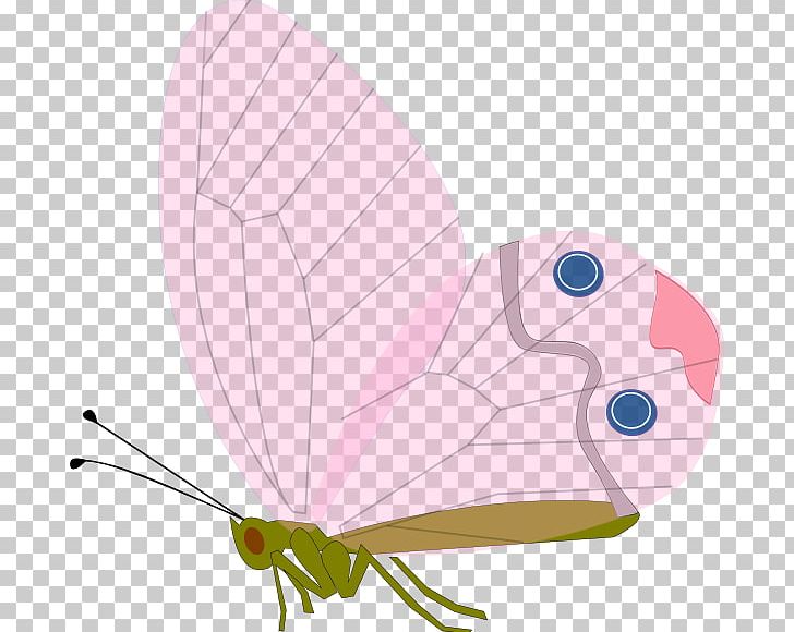 Butterfly Insect PNG, Clipart, Antennae, Arthropod, Blue, Brush Footed Butterfly, Butterfly Free PNG Download