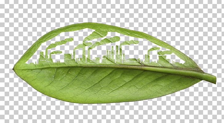 Environmentally Friendly Renewable Energy Natural Environment Business Sustainability PNG, Clipart, Building, Business, Climate Change, Energy Conservation, Environmentally Friendly Free PNG Download