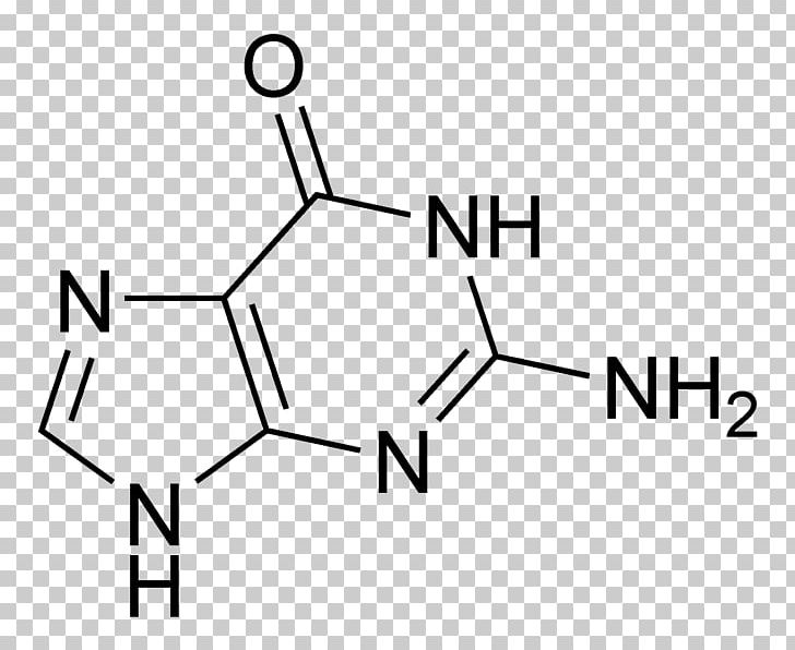 Guanine Adenine Guanosine Monophosphate Cytosine PNG, Clipart, Angle, Area, Black, Black And White, Brand Free PNG Download