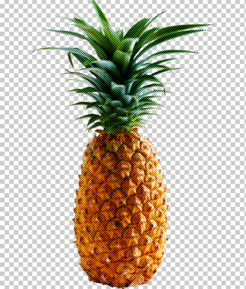 Pineapple PNG, Clipart, Carrot, Cut Pineapple, Dried Fruit, Fruit, Juice Free PNG Download
