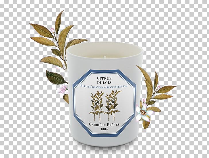 Candle Lily Of The Valley Orange Blossom Perfume Wax PNG, Clipart, Ach Brito, Candle, Chinese Herbaceous Peony, Cup, Earl Grey Tea Free PNG Download