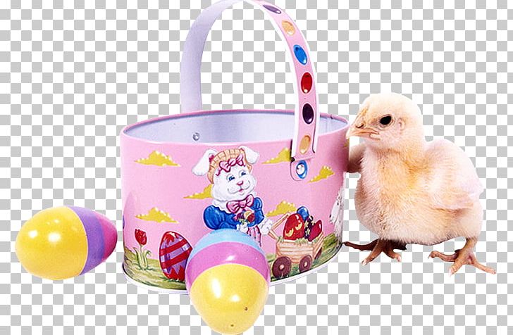 Easter Animation Chicken PNG, Clipart, Animation, Baby Toys, Chicken, Collage, Easter Free PNG Download