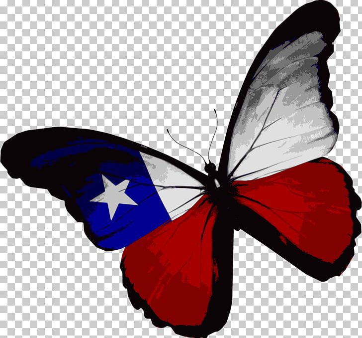 Flag Of Texas Butterfly Flag Of The United States PNG, Clipart, American Flag, American Football, American Vector, Brush Footed Butterfly, Butterflies Free PNG Download