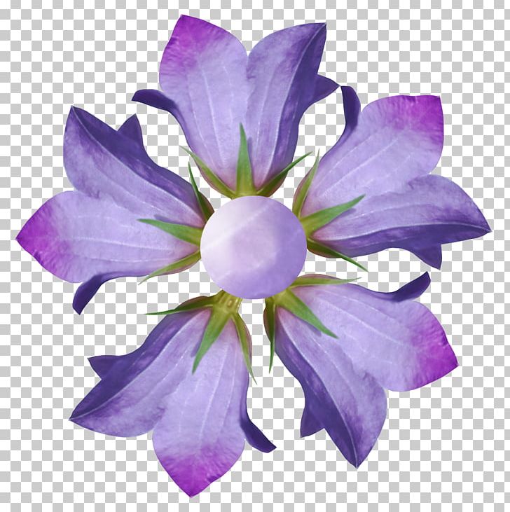 Flower Photography Purple Blue Petal PNG, Clipart, Bellflower, Bellflower Family, Black And White, Blue, Flower Free PNG Download