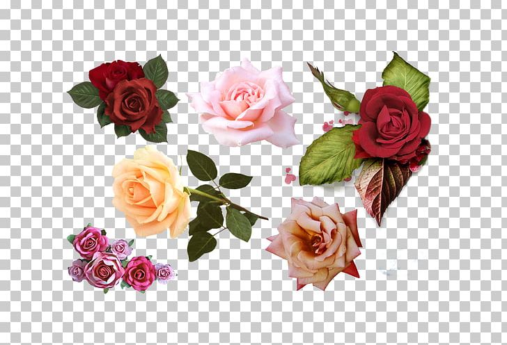 Garden Roses Centifolia Roses Rosa Chinensis PNG, Clipart, Artificial Flower, Christmas Decoration, Color Splash, Decorative, Deviantart Free PNG Download