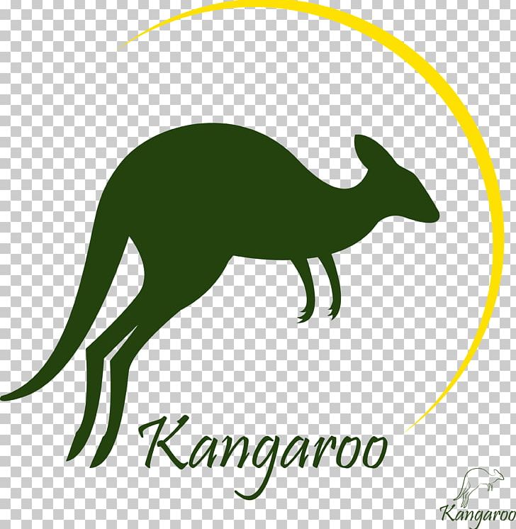 Kangaroo Photography PNG, Clipart, Animals, Area, Art, Cartoon, Christmas Decoration Free PNG Download