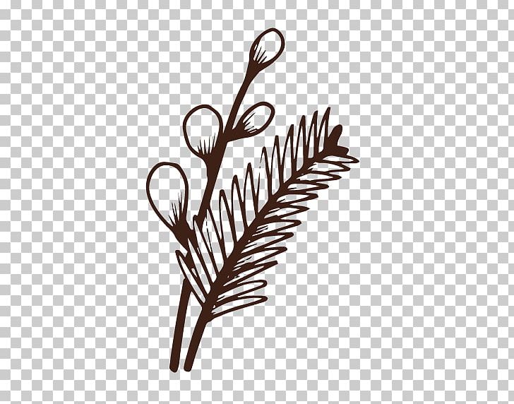 Plant Euclidean Tree PNG, Clipart, Cactaceae, Coniferous, Conifers, Encapsulated Postscript, Euclidean Vector Free PNG Download