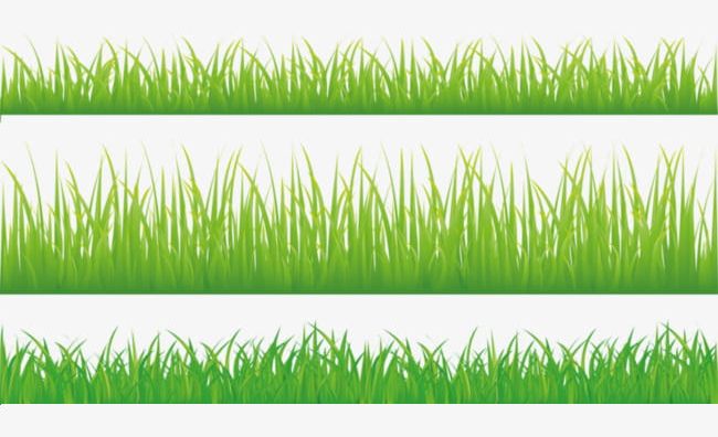 Decorative Grass PNG, Clipart, Background, Decoration, Decorative Clipart, Grass, Grass Clipart Free PNG Download