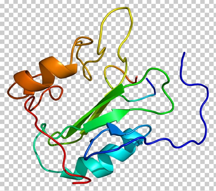 GRB7 Protein Kinase PTK2 Growth Factor PNG, Clipart, Area, Artwork, Body Jewelry, Caveolin, Caveolin 1 Free PNG Download
