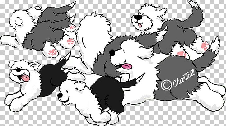 Old English Sheepdog Whiskers Shetland Sheepdog Kitten Breeder PNG, Clipart, Belgium, Black, Black And White, Bree, Carnivoran Free PNG Download